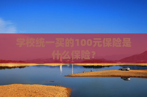 学校统一买的100元保险是什么保险？