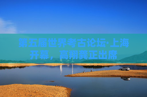 第五届世界考古论坛·上海开幕，高翔龚正出席