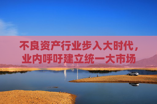 不良资产行业步入大时代，业内呼吁建立统一大市场