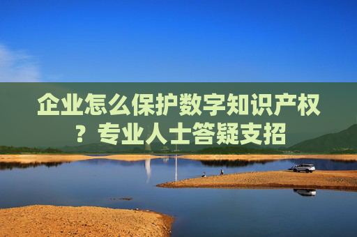 企业怎么保护数字知识产权？专业人士答疑支招
