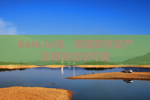 Gate.io海，探索数字资产交易的无限可能
