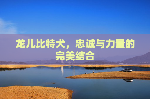 龙儿比特犬，忠诚与力量的完美结合