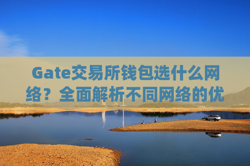 Gate交易所钱包选什么网络？全面解析不同网络的优缺点 gate交易所钱包选什么网络