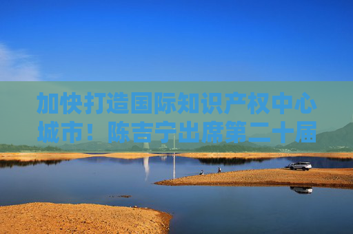 加快打造国际知识产权中心城市！陈吉宁出席第二十届上海知识产权国际论坛并致辞