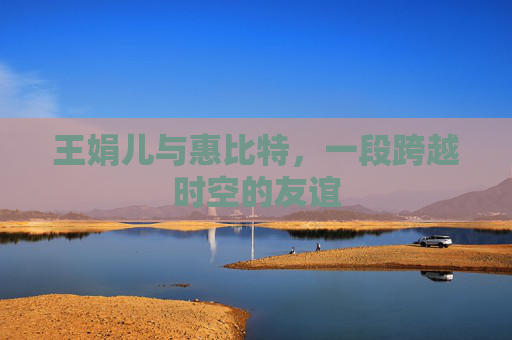 王娟儿与惠比特，一段跨越时空的友谊