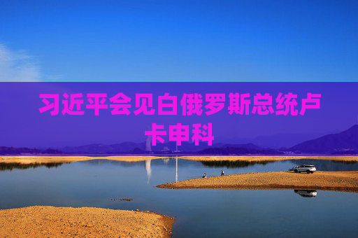 习近平会见白俄罗斯总统卢卡申科