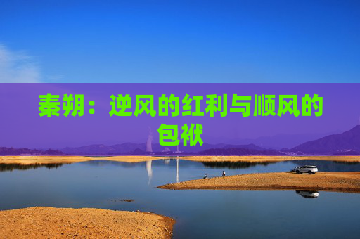 秦朔：逆风的红利与顺风的包袱