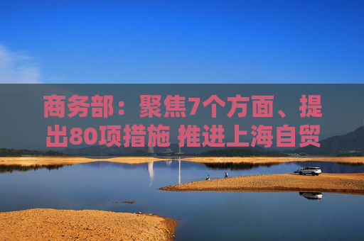 商务部：聚焦7个方面、提出80项措施 推进上海自贸试验区高水平制度型开放