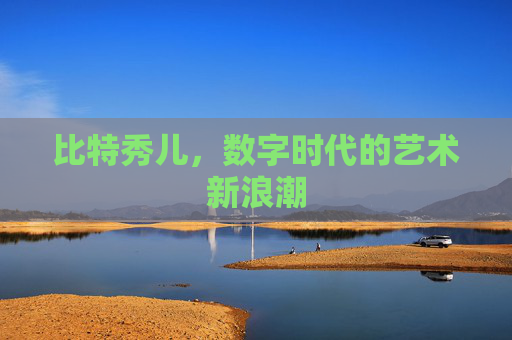 比特秀儿，数字时代的艺术新浪潮