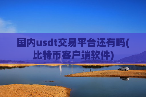 国内usdt交易平台还有吗(比特币客户端软件)
