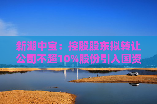 新湖中宝：控股股东拟转让公司不超10%股份引入国资