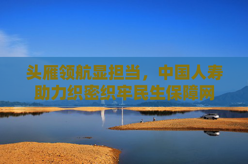 头雁领航显担当，中国人寿助力织密织牢民生保障网