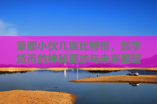 蒙面小伙儿谈比特币，数字货币的神秘面纱与未来展望 蒙面小伙儿谈比特币