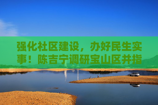 强化社区建设，办好民生实事！陈吉宁调研宝山区并指导开展第二批主题教育