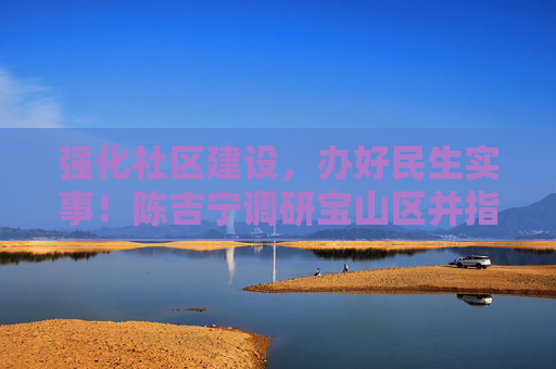 强化社区建设，办好民生实事！陈吉宁调研宝山区并指导开展第二批主题教育