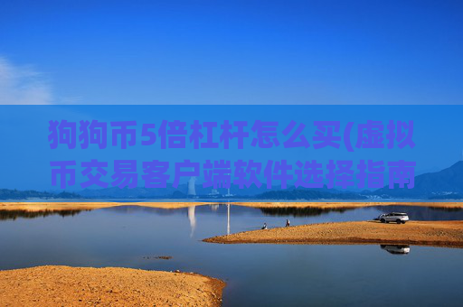 狗狗币5倍杠杆怎么买(虚拟币交易客户端软件选择指南)