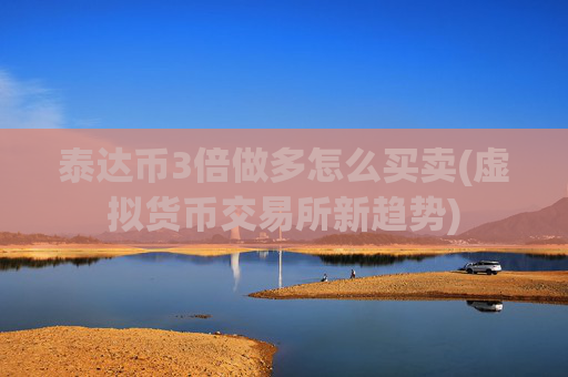 泰达币3倍做多怎么买卖(虚拟货币交易所新趋势)