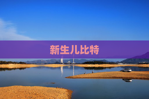 新生儿比特