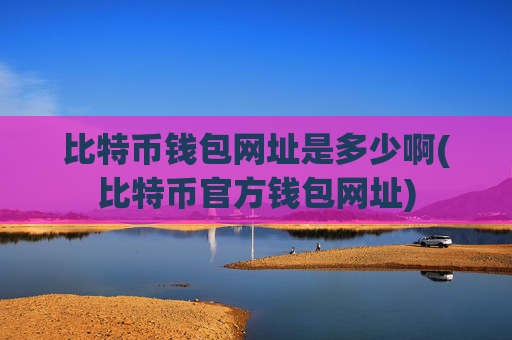 比特币钱包网址是多少啊(比特币官方钱包网址)