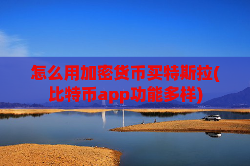 怎么用加密货币买特斯拉(比特币app功能多样)