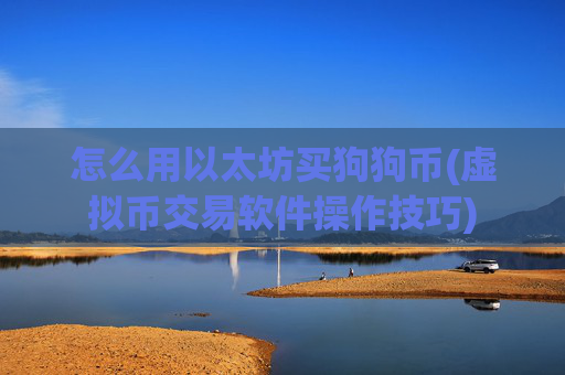 怎么用以太坊买狗狗币(虚拟币交易软件操作技巧)