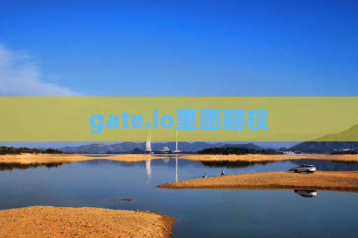 gate.io里面期权