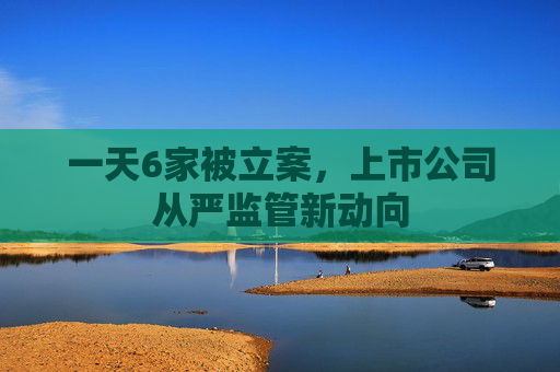 一天6家被立案，上市公司从严监管新动向