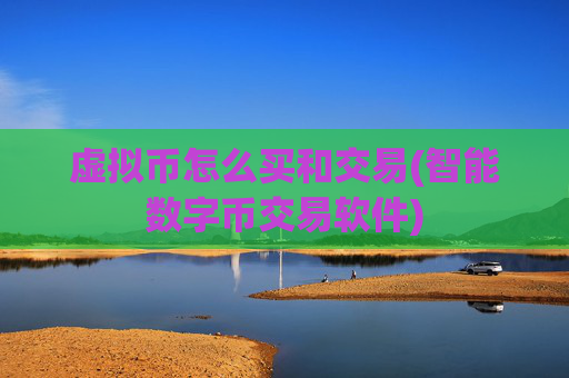 虚拟币怎么买和交易(智能数字币交易软件)