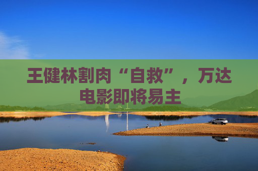 王健林割肉“自救”，万达电影即将易主