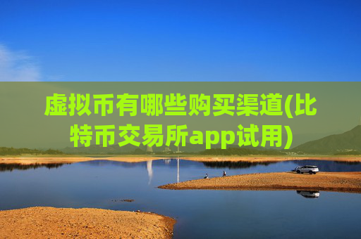 虚拟币有哪些购买渠道(比特币交易所app试用)