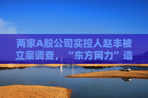 两家A股公司实控人赵丰被立案调查，“东方网力”造假牵连多方