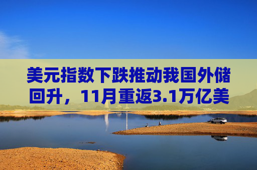 美元指数下跌推动我国外储回升，11月重返3.1万亿美元