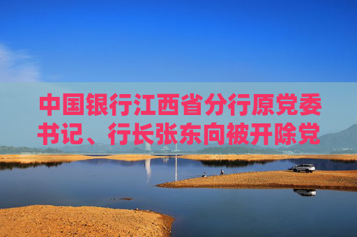中国银行江西省分行原党委书记、行长张东向被开除党籍