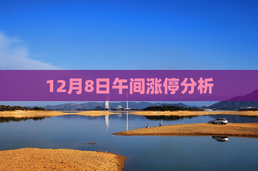 12月8日午间涨停分析