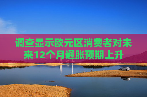 调查显示欧元区消费者对未来12个月通胀预期上升
