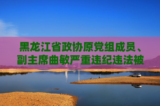 黑龙江省政协原党组成员、副主席曲敏严重违纪违法被“双开”