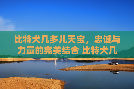 比特犬几多儿天宝，忠诚与力量的完美结合 比特犬几多儿天宝