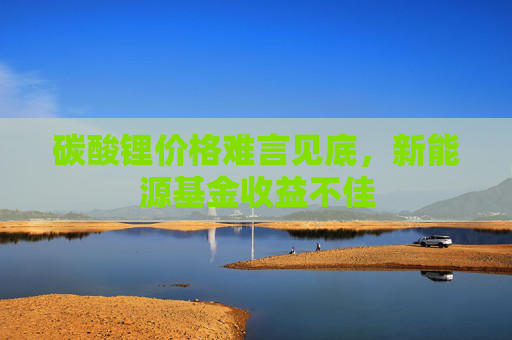 碳酸锂价格难言见底，新能源基金收益不佳