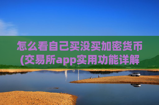 怎么看自己买没买加密货币(交易所app实用功能详解)