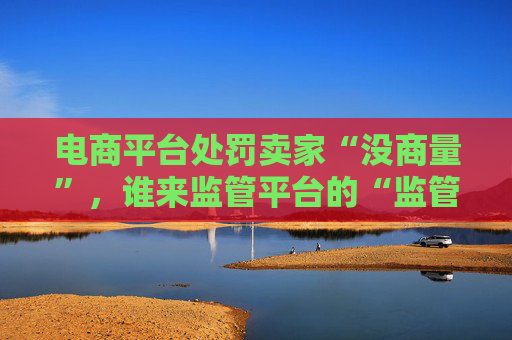 电商平台处罚卖家“没商量”，谁来监管平台的“监管”？