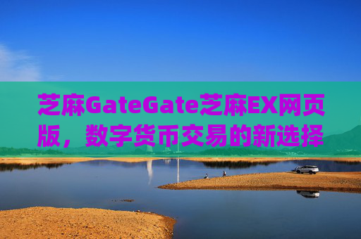 芝麻GateGate芝麻EX网页版，数字货币交易的新选择 芝麻gategate芝麻ex网页版