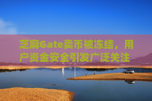芝麻Gate卖币被冻结，用户资金安全引发广泛关注 芝麻gate卖币被冻结