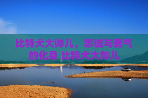 比特犬大帅儿，忠诚与勇气的化身 比特犬大帅儿