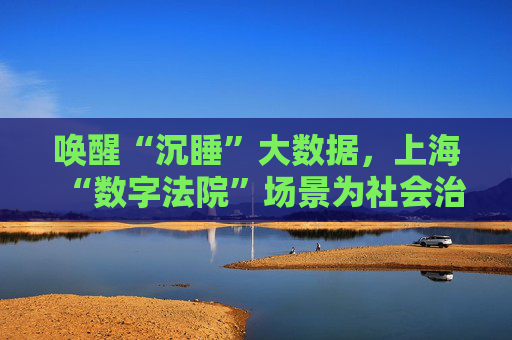 唤醒“沉睡”大数据，上海“数字法院”场景为社会治理提供决策