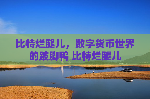 比特烂腿儿，数字货币世界的跛脚鸭 比特烂腿儿