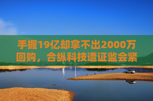 手握19亿却拿不出2000万回购，合纵科技遭证监会紧急立案有何隐情