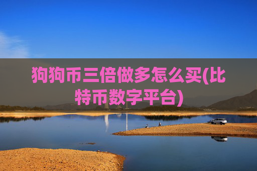 狗狗币三倍做多怎么买(比特币数字平台)