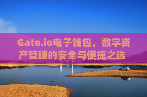 Gate.io电子钱包，数字资产管理的安全与便捷之选 gate.io电子钱包