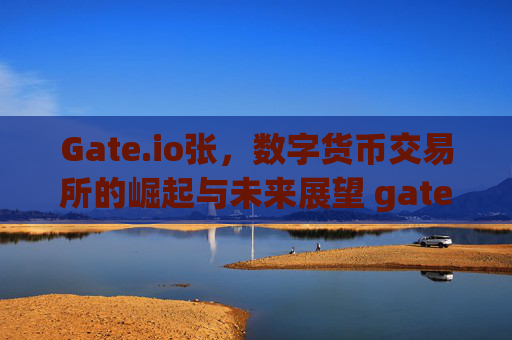 Gate.io张，数字货币交易所的崛起与未来展望 gate.io张