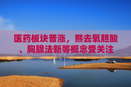 医药板块普涨，熊去氧胆酸、胸腺法新等概念受关注